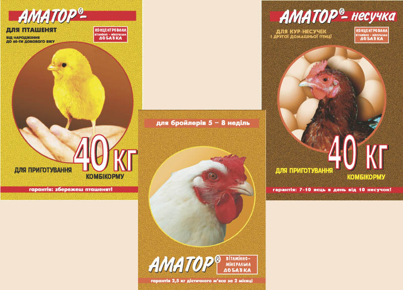 ³������-��������� ������� ��� �����
