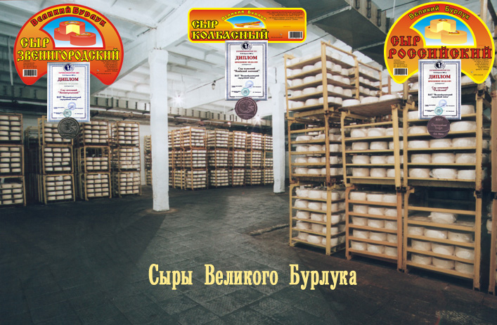 Company Products