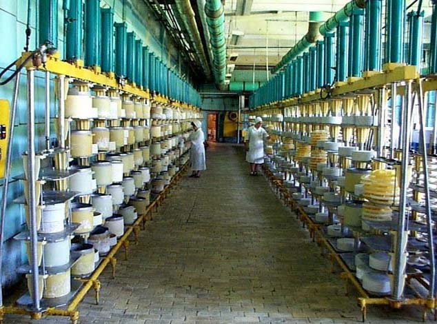 Vertical Presses for Cheese